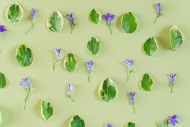 Yeşil zemin üzerine çiçek kompozisyon