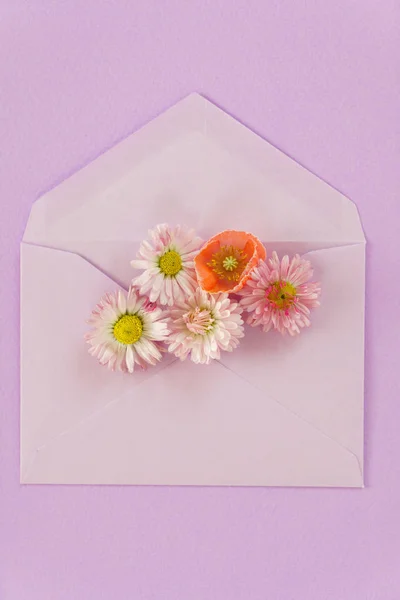 Virág Kompozíció Rózsaszín Háttér — Stock Fotó
