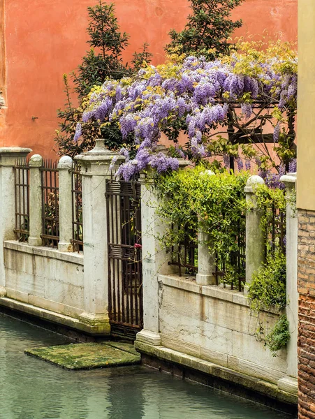 Canal Verde Veneza Itália — Fotografia de Stock