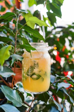 Yaz limonata meyve ve nane ile