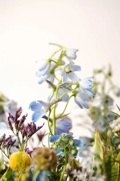 Mooie Lente Bloemen Boeket Witte Achtergrond — Stockfoto