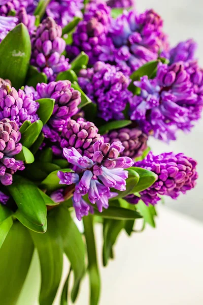 Flores Jacinto Brilhantes Vaso — Fotografia de Stock