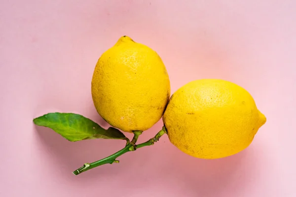 Bio Reife Zitronen Auf Rosa Hintergrund — Stockfoto