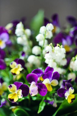 buket Bahar, yakın çekim