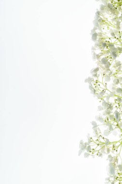 Çiçek kompozisyonu, kapat.