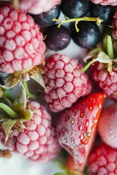 Gefrorene Beeren Aus Nächster Nähe — Stockfoto