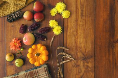 çiçek ve sebze ile sonbahar konsepti