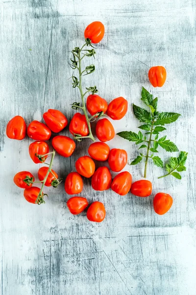Tomates Cereja Frescos Close — Fotografia de Stock