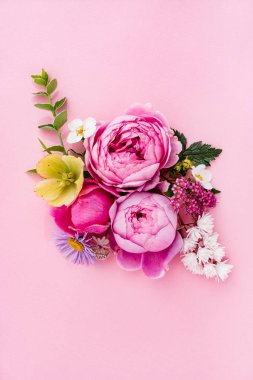 Güzel yaz çiçekleri, güzel manzara.