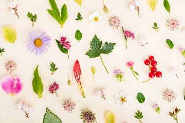 yaz çiçek ve yaprak