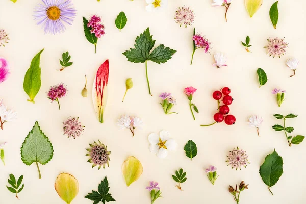 yaz çiçek ve yaprak