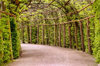 Fransa'da bahar bahçesi