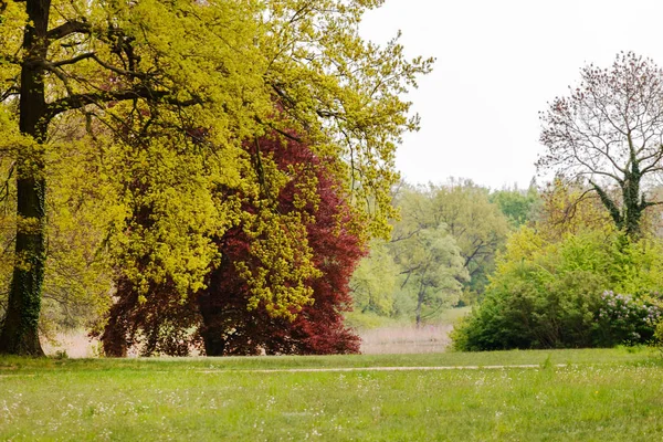 Primavera Jardim França — Fotografia de Stock