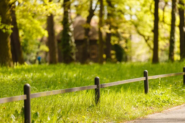 Spring Garden Nature Travel — Stock Photo, Image