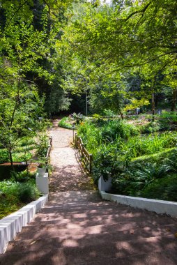 Gürcistan'da botanik bahçesi. Doğa