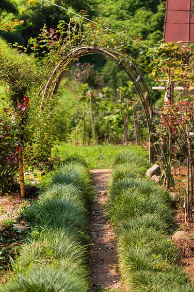 Ogród Botaniczny Gruzji — Zdjęcie stockowe