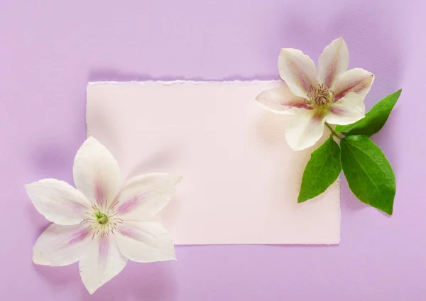 Flowers Composition Purple Background — Stock Photo, Image
