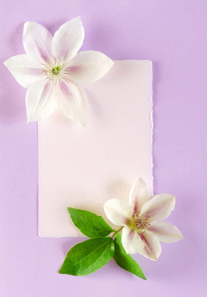 Квіткова Композиція Фіолетовому Фоні — стокове фото