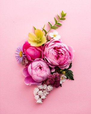 pembe arka planda güzel yaz çiçekleri