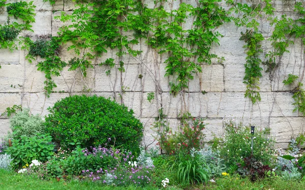 Blooming Spring Garden France — Stock Photo, Image