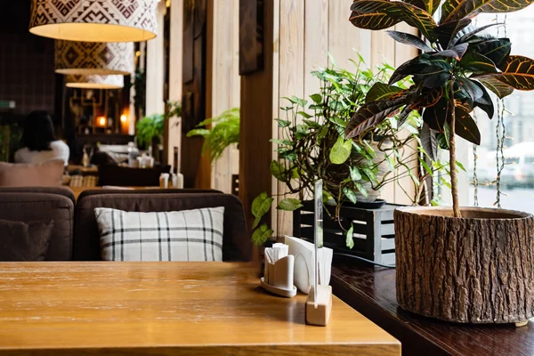 현대적인 레스토랑의 아늑한 인테리어 — 스톡 사진
