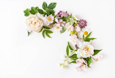 Beyaz arka planda yaz çiçekleri