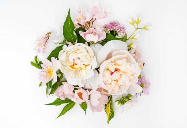Καλοκαιρινά Λουλούδια Στο Λευκό Φόντο — Φωτογραφία Αρχείου