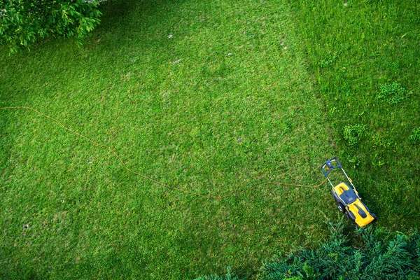 Lownmower Green Lawn Background — Stock Photo, Image