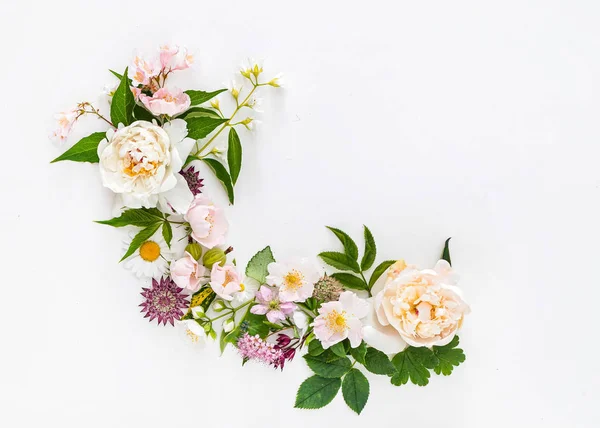 Belles Fleurs Été Sur Fond Blanc — Photo