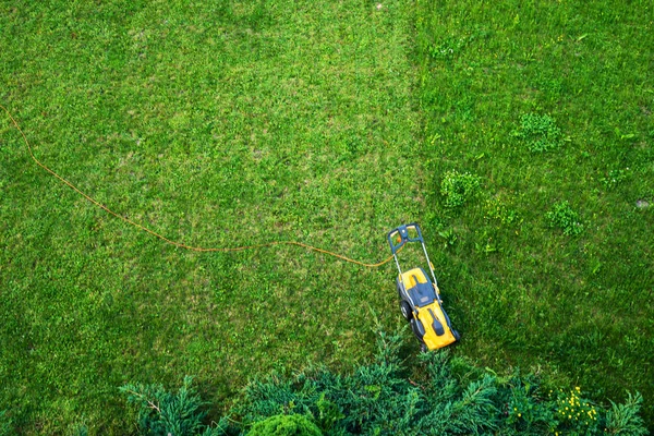 Lown Tondeuse Sur Herbe Entretien Pelouse — Photo