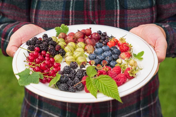 Different Kinds Berries White Plate — Stock Photo, Image