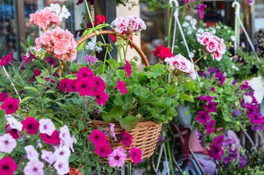 çiçekler ile çiçek dükkanı, yakın yukarı