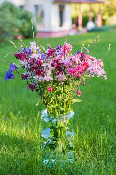 Schöne Frühlingsblumen Garten — Stockfoto