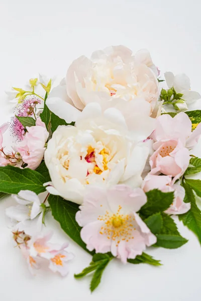 Fleurs Été Sur Fond Blanc — Photo