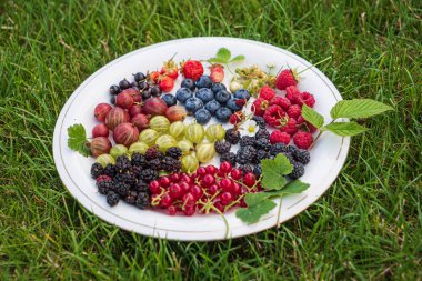 Beyaz tabakta farklı meyveler.