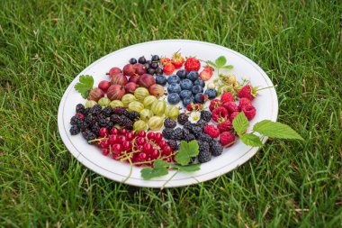 beyaz tabakta çilek farklı türde, yakın