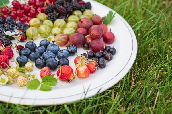 Different Kinds Berries White Plate Close — Stock Photo, Image