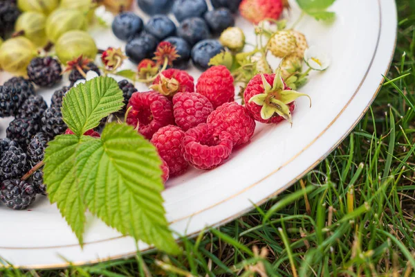 Different Kinds Berries White Plate Close — Stock Photo, Image