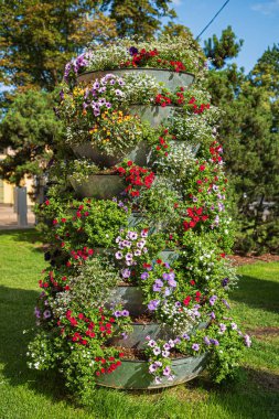 bahçede kaplarda güzel çiçekler