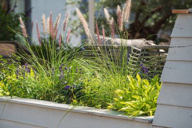 bahçede kaplarda güzel çiçekler