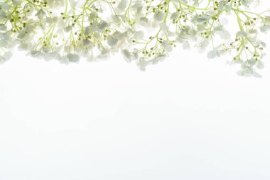 Beyaz arka plan üzerinde çiçek kompozisyon