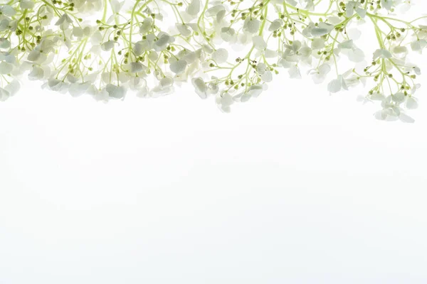 Floral Composition White Background — Stock Photo, Image