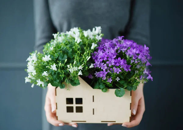 Bel Bouquet Nelle Mani Della Donna — Foto Stock