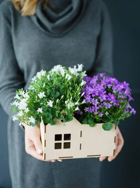 Bel Bouquet Nelle Mani Della Donna — Foto Stock