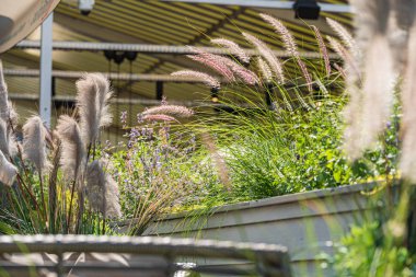 Kutularda güzel çiçekler var.