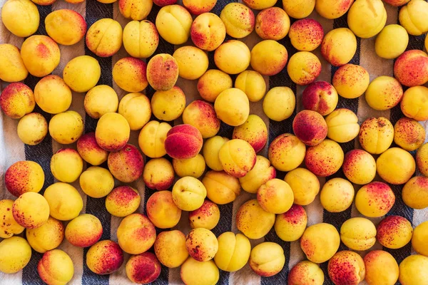 Background Ripe Organic Apricots — Stock Photo, Image