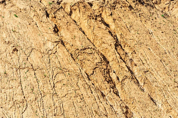 Detail Of Dry Ground On The Desert - Texture / Pattern