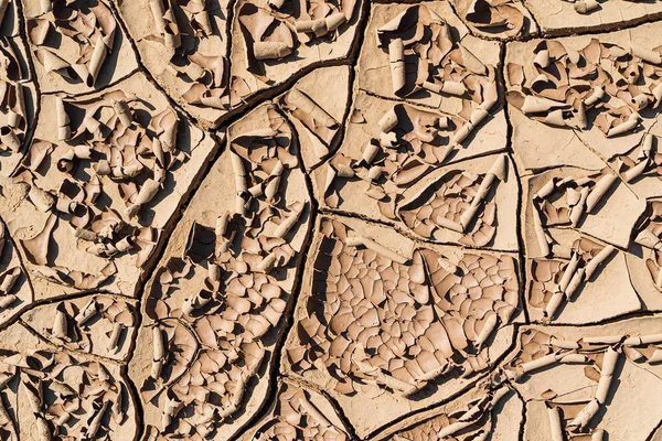 Detail Dry Ground Desert Texture Pattern — Stock Photo, Image