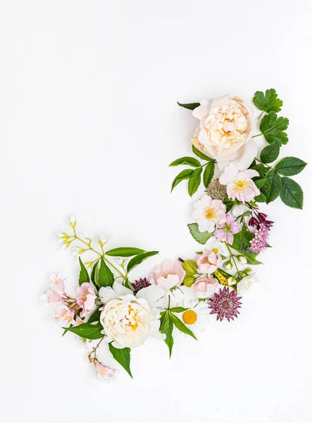 Flores Verano Sobre Fondo Blanco —  Fotos de Stock