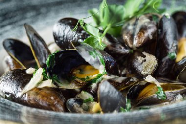 Siyah sırtüstü Tayland Baharatlı Midyeleri